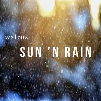 Sun 'n Rain by Walrus