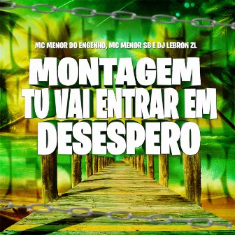 Montagem Tu vai Entrar em Desespero by DJ LEBRON ZL