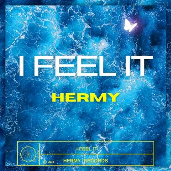 I Feel It by HERMY