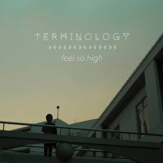 Feel So High by Terminology