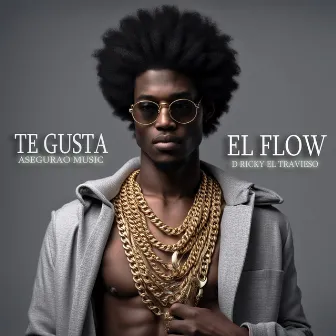 Te Gusta El Flow by Asegurao Music