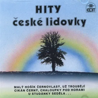 Hity české lidovky by Malá česká dechovka