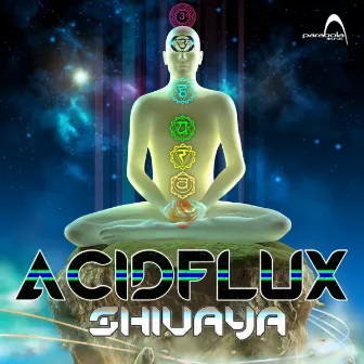 Shivaya by Acid Flux