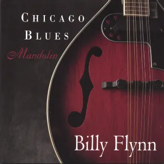 Chicago Blues Mandolin by Billy Flynn