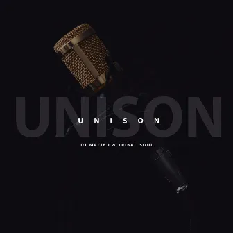 Unison by Tribal Soul