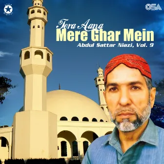 Tera Aana Mere Ghar Mein, Vol. 9 by Abdul Sattar Niazi