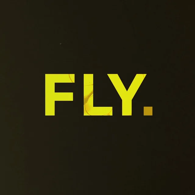 Fly