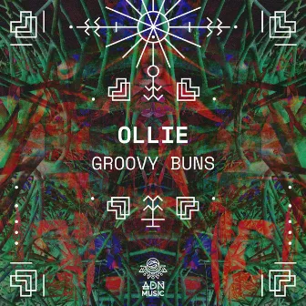 Groovy Buns by Ollie