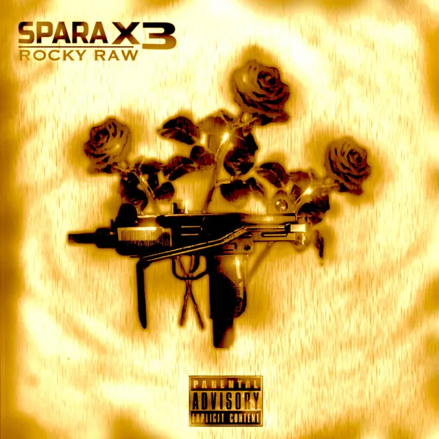 SparaX3