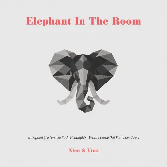 Elephant in the Room by Nico & Vinz