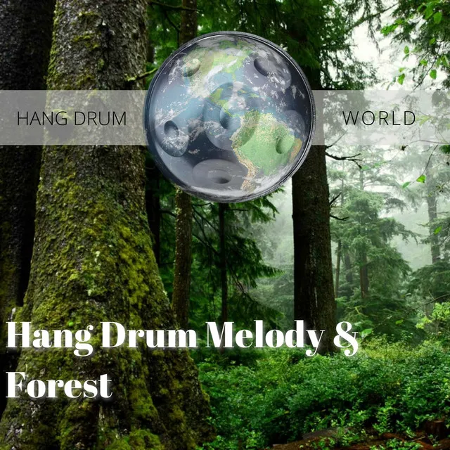 Hang Drum Melody & Forest