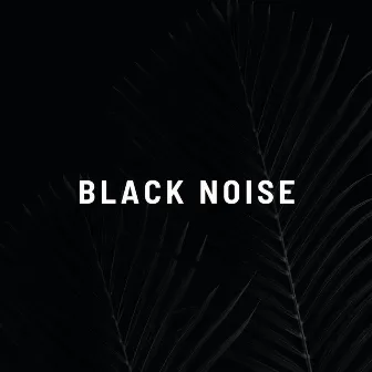 Black Noise by 