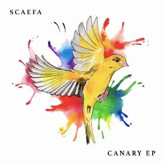 Canary by Scaefa