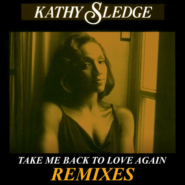 Take Me Back To Love Again - Radio Remix Instrumental