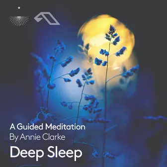 Deep Sleep: A Guided Meditation by 