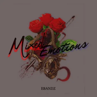 Mixed Emotions by E Bandz