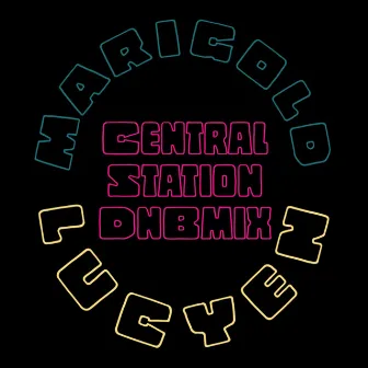 Central Station DnBmix by Marigold