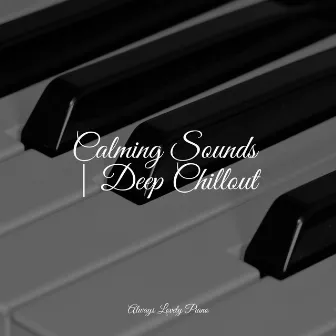 50 Peaceful Piano Melodies for Stress Relief by Unknown Artist