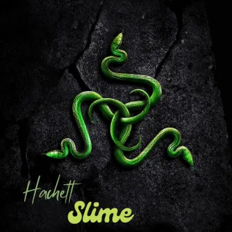 Slime by Hachett