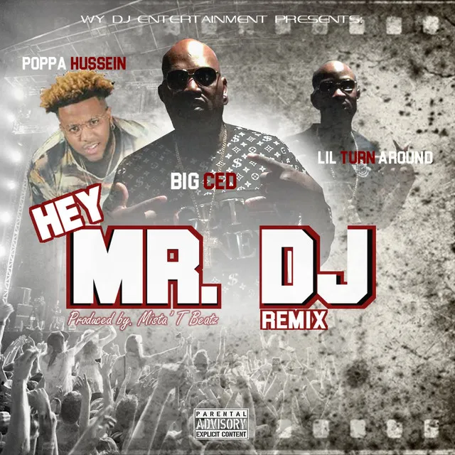 Hey Mr. DJ - Remix