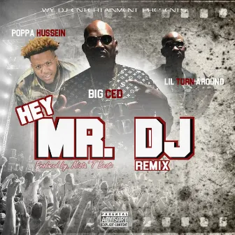 Hey Mr. DJ (Remix) by Big Ced