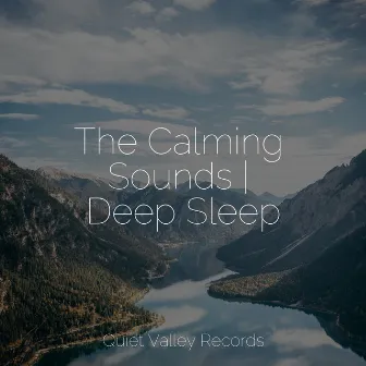 The Calming Sounds | Deep Sleep by Sleep Sounds