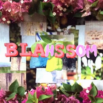 Blahssom by MC/DC