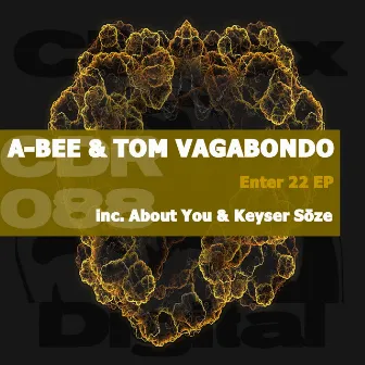 Enter 22 EP by Tom Vagabondo