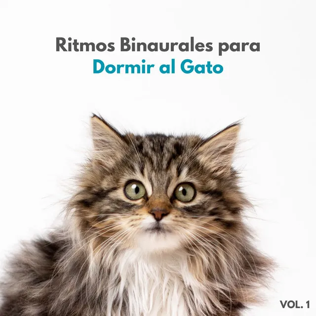 Ritmos Binaurales Para Dormir Al Gato Vol. 1