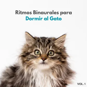 Ritmos Binaurales Para Dormir Al Gato Vol. 1 by Ritmo binaural