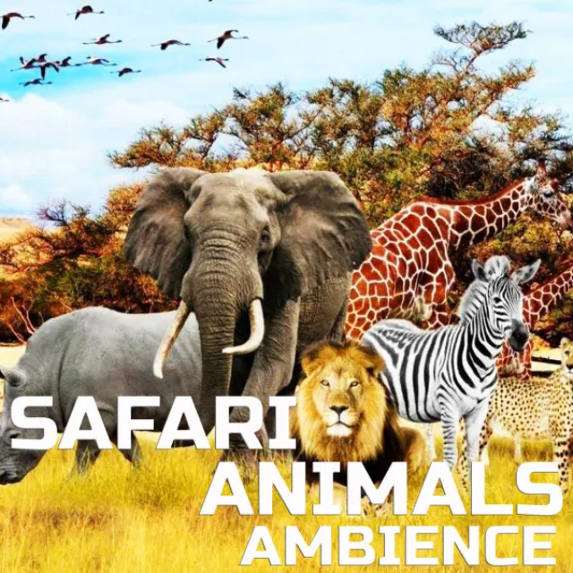 Nature Sounds Safari Animals