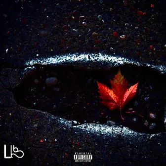 Pothole by Lib