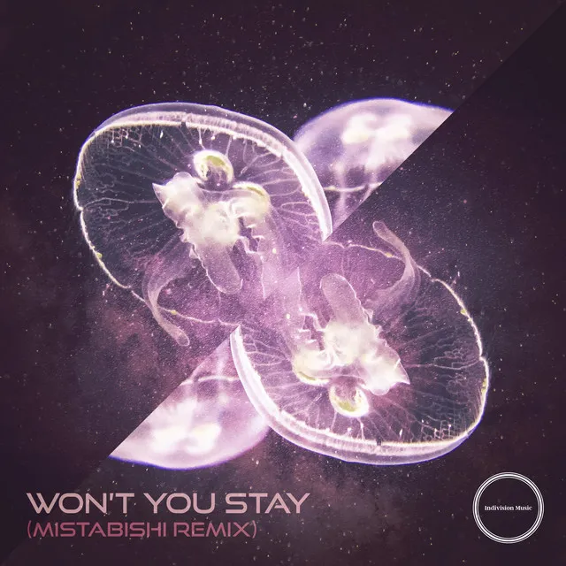 Won't You Stay - Mistabishi Remix