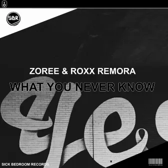 What You Never Know by Roxx Remora