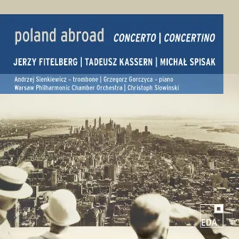 Poland Abroad Vol. 6 - Concerto / Concertino by Warsaw Philharmonic Chamber Orchestra