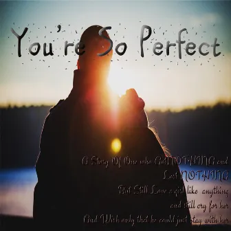 You So Perfect by Jerry