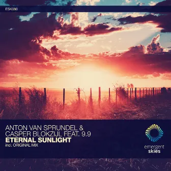 Eternal Sunlight by Anton van Sprundel