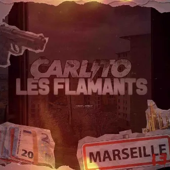 Les Flamants by Carlito