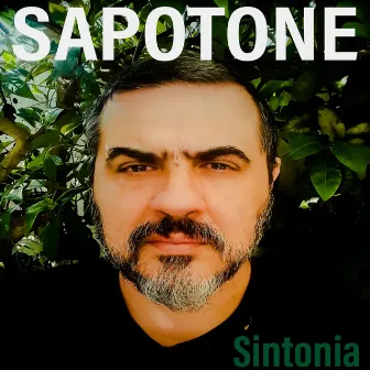 Sintonia by Sapotone