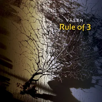 Rule of 3 by Väsen