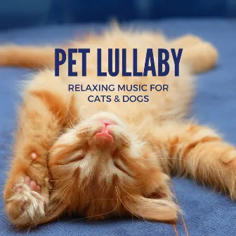 Your Favorite Pet Lullaby - Relaxing Music for Cats & Dogs by Dog Bedtime