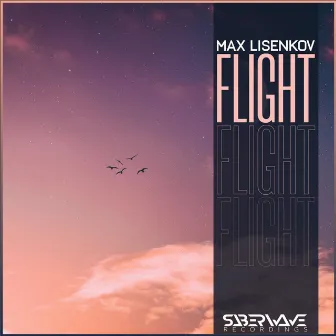 Flight by Unknown Artist