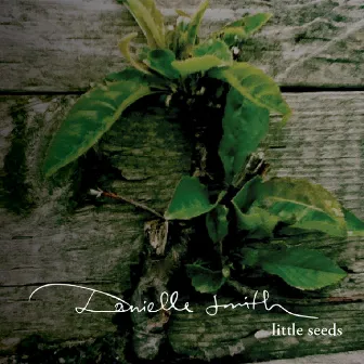 Little Seeds by Danielle Smith