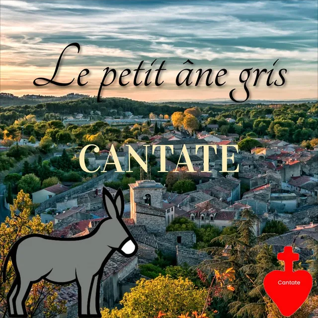 le petit âne gris