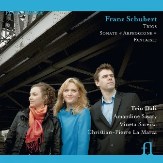 Schubert: Trios, Sonate 