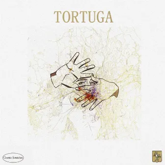 Tortuga by Andre Loot