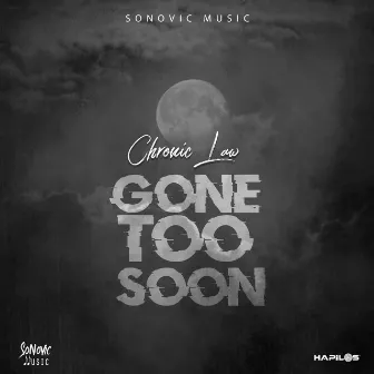 Gone Too Soon by Sonovic