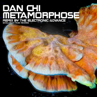 Metamorphose by Dan Chi