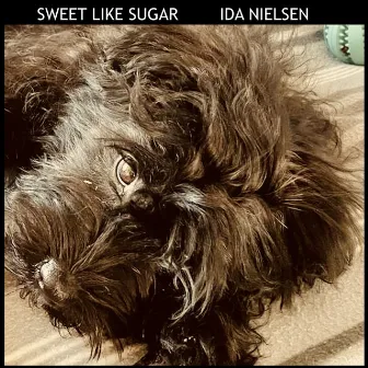 Sweet Like Sugar by Ida Nielsen