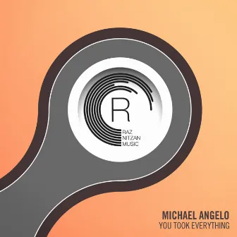 You Took Everything by Michael Angelo